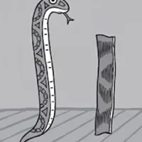 Snake 'n' Bacon