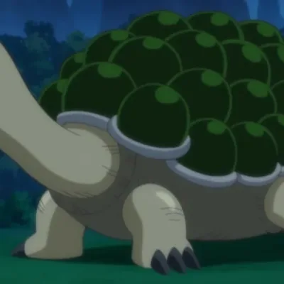 Solar Turtle