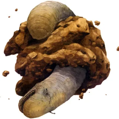 Space Slug