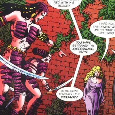 Spider-Amazons