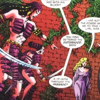 Spider-Amazons