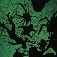 Spider Guild