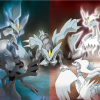 Tao Trio