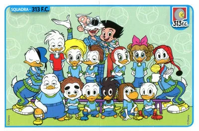 Background for Team 313