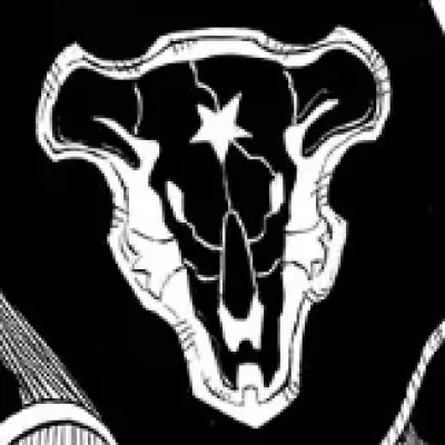 The Black Bulls Magic Knights