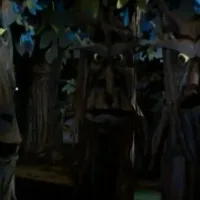 The Evil Trees