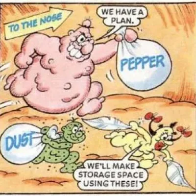 The Germs
