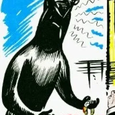 The Voord