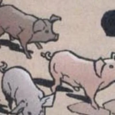 Three Little Pigs