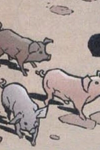 Background for Three Little Pigs