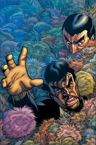 Background for Tribbles