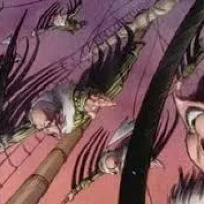Vulture Fliers