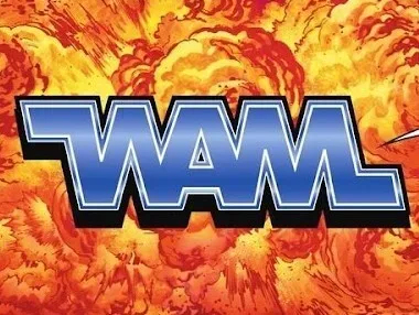 Background for WAM