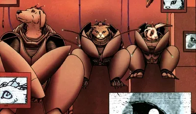 Background for We3