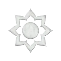 White Lotus Society