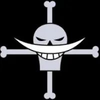 Whitebeard Pirates
