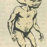 Xantha