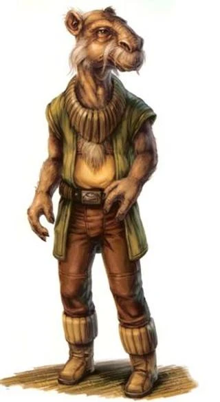 Background for Yarkora