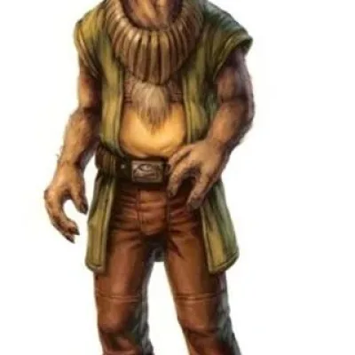 Yarkora