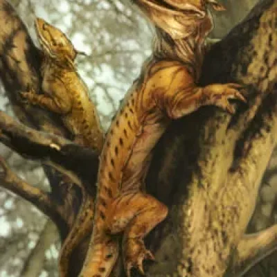 Ysalamir