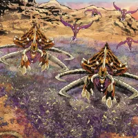 Zerg